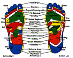 Foot Reflexology Chart